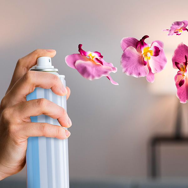 Area de limpieza Ambiental